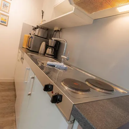 Seenelke Id 343 Sankt Peter-Ording